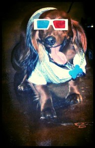 What ARE this thing?